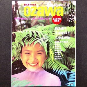 BIG4 特別編集 ozawa 永久保存版 総集編 竹書房 1995年 平成7年7月23日発行 撮影 小沢忠恭 成島直子 北原佐和子 光井麻里絵