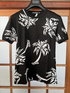 DOLCE&GABBANA ヤシの木 Tシャツ 44 美品