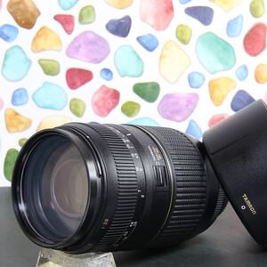 ◇TAMRON 70-300mm Nikon ニコン