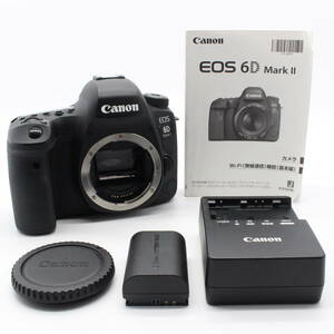 ★美品★Canon EOS 6D Mark II ボディ ショット数226★5233