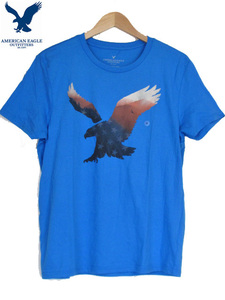 新品タグ付 AMERICAN EAGLE OUTFITTERS アメリカンイーグルアウトフィッターズ USA星条旗 ビックロゴ デザインTシャツ スカイブルー siz.M