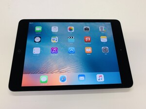 ★送料無料★WiFi★A1432 iPad mini Wi-Fi 16GB★ブラック★0089270000169★SYS★11/19