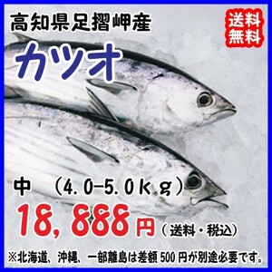 高知沖 天然一本釣り カツオ 4-5kg 浜から直送 送料無料 北海道・沖縄・東北は別途送料 宇和海の幸問屋