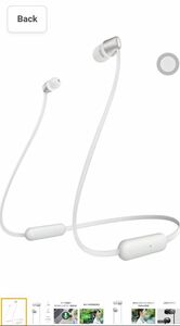 Sony WI-C310 WI-C310 WC Wireless Earphones, Bluetooth Compatible, Up to 15 Hours of Continuous Playback, Microphone Included, Flat