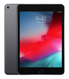 iPadmini 7.9インチ 第5世代[256GB] セルラー docomo スペース…