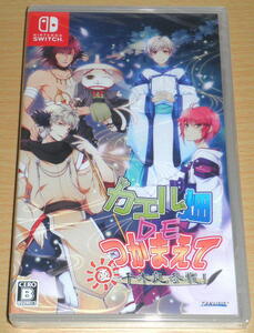 ☆送料込 即決 新品 Switch 『カエル畑DEつかまえて・夏 千木良参戦！』☆