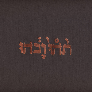 GODSPEED YOU! BLACK EMPEROR / SLOW RIOT FOR NEW ZERO KANADA E.P. (180g) (12)