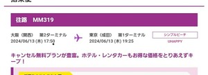 6月13日　関西→成田　ピーチ