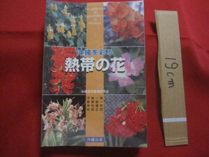 ☆沖縄を彩る　　　　熱帯の花　　　　　　沖縄都市環境研究会　　著　　　　　　　　　　【沖縄・琉球・自然・植物】