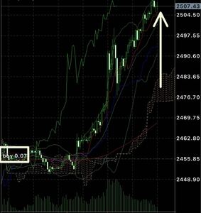 FX単ポジEA 300pips500pips取れてます。