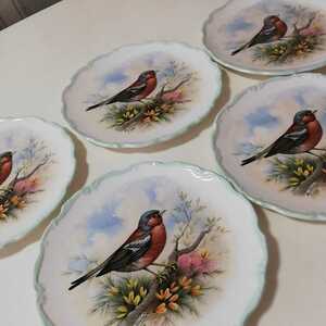 【希少！レア】ロイヤルアルバート　野鳥の絵図ジョウビタキ絵　５枚セット　五枚まとめてROYAL ALBERT Bone China ENGLANDバードプレート