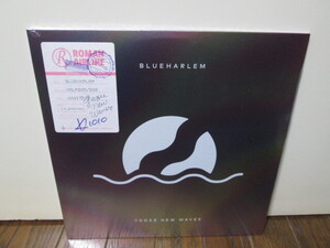 sealed 未開封 marble color vinyl BLUEHARLEM 2LP (analog) Yogee New Waves アナログレコード