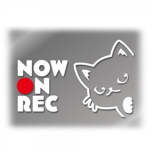 窓枠からひょっこり覗く猫　カッティングステッカー【Now On Rec・白色】