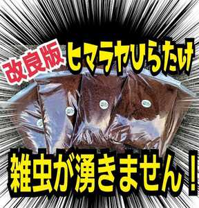 雑虫、コバエがわきません！　改良版☆ヒマラヤひらたけ発酵カブトムシマット【４袋】幼虫の餌・産卵に抜群　ギネスサイズ羽化実積多数あり