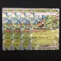 ポケモンカード オーガポン みどりのめんex  4枚セット みどりのまい 600