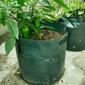 植木鉢 2個 プランター 丸い布鉢 軽量 深鉢 栽培バッグ じゃがいも用　栽培 バッグ ガーデン栽培袋 園芸ガーデン 2個10ガロン35x45cm