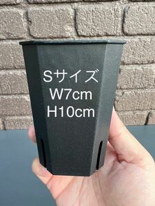 多肉植物 ハオルチア アガベ 専用プラ鉢 八角鉢Sサイズ黒 30個