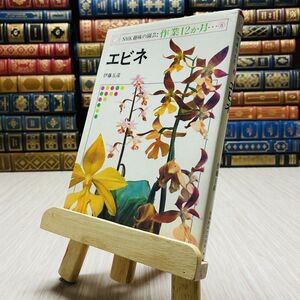 8-1 エビネ NHK 趣味の園芸 作業12ヶ月 8 伊藤五彦 日本放送出版協会