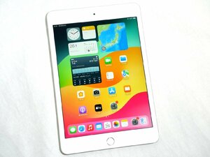 Bランク品（中古美品）APPLE iPad mini 7.9インチ 第5世代 Wi-Fi 64GB 2019年春モデル MUQX2J/A [シルバー]