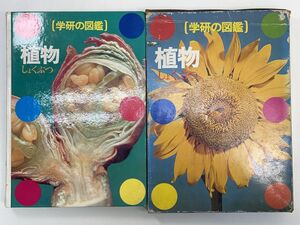 昭和レトロ　学研の図鑑　植物 1978年 昭和53年【z105547】