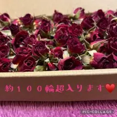 ミニバラドライフラワーB品セット★ミニ薔薇をたっぷり詰めて100輪以上入ります！