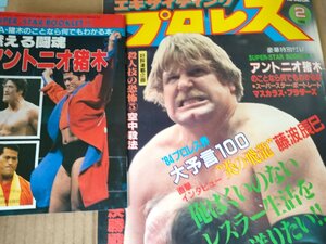 エキサイティングプロレス 別冊付録付き 1984.2/天龍源一郎/マスカラス・ブラザーズ/スタン・ハンセン/ブルーザー・ブロディ/雑誌/B3233534