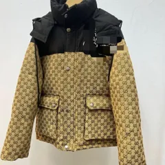 【新品?】The North Fac×Gucci ダウンジャケット