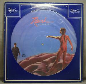 ▲☆【RUSH】HEMISPHERES [ピクチャーLP]★△