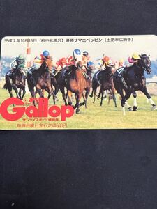 サマニベッピン　府中牝馬S ギャロップ抽選テレカ　テレホンカード