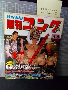 同梱OK◆【少難】週刊ゴング16号(1984/9/6)三沢光晴タイガーマスク/新日本プロレス・パキスタン/ブルーザーブロディ/ストロング金剛