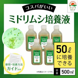 【ミドリムシ培養液　500ml　50L培養分　送料無料】メダカ めだか 金魚 ミジンコ　ゾウリムシ　クロレラ　 針子　PSB ミドリムシ培養に