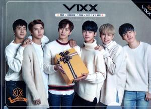 VIXX ヴィックス グッズ 【グラフィック クリアファイル】 A4サイズ 両面写真1