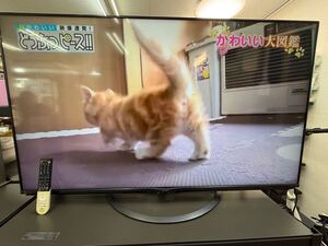 2019年製　 SHARP シャープ　60型　ネット動画対応　液晶テレビ　4T-C60AJ1 八王子市より出品　引取りも歓迎