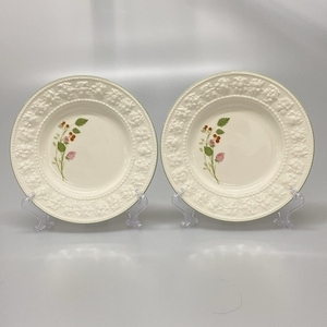 ウェッジウッド WEDG WOOD フェスティビティ ラズベリー アイボリー×グリーン×マルチ プレート×2点 新品同様 食器