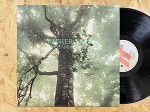 見本LP＊佐藤正美 MOTHER TREE KITTY