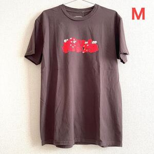 即決/新品【定価11000円】国内即完売 KAWS 「REBUILD」 S/S TEE サイズM カウズ 半袖Tシャツ INFINITE ARCHIVES メンズ レディース UT