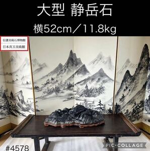 【信濃美術石博物館】水石 盆栽 大型 静岳石 横52×高13×奥行25(cm) 重量:11.88kg 骨董盆石鑑賞石観賞石太湖石 4578