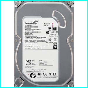 Seagate ST250DM000-1BD141-501 DP/N 0YVMKX 3.5インチ SATA600 250GB 1160回 10499時間