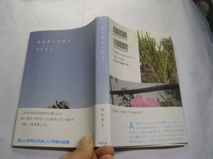 銀色夏生の視点 新しい世界との交流一年の記録 初版帯付良品 幻冬舎2008年1刷 定価1400円267頁 経年黄ばみ少有 単行2冊程送188 同梱歓迎