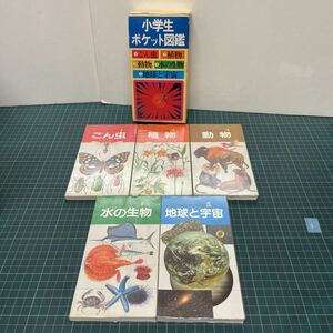 学研の小学生ポケット図鑑 5冊セット 箱付き こん虫 植物 動物 水の生物 地球と宇宙