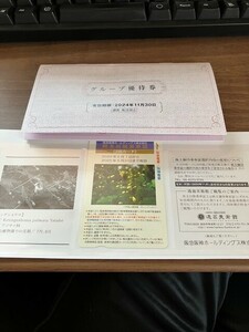 阪急阪神ＨＤ株主優待券(株主回数乗車証:２回カード、グループ優待券)