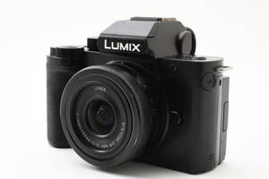 ★☆大人気 Panasonic DC-G100 #2314794☆★