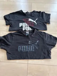 PUMA キッズ Tシャツ 2枚セット　150