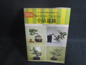 園芸11　素人　小品盆栽　書込み有・シミ大・日焼け強/WBX