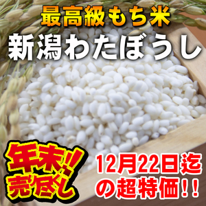 送料が2個口分必要となります。【令和6年産新米】最高級もち米 新潟県産わたぼうし白米40kg