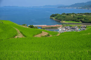 鉄道 デジ 写真 画像 キハ66/67形 大村線 国鉄急行色 7