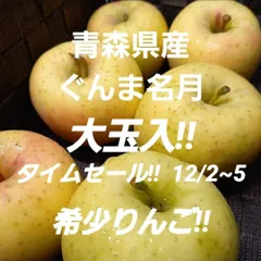 ★期間限定★青森県産 ぐんま名月 希少 りんご 大玉入 家庭用 6~8玉 ㉟