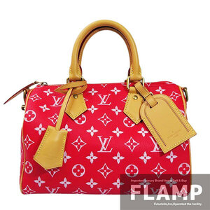 LOUIS VUITTON ルイヴィトン スピーディ P9 バンドリエール25 M24425 2WAY 2024春夏 【美品中古】