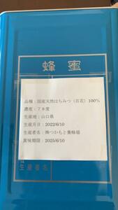 20kg 完熟 生蜂蜜　国産蜂蜜 純粋蜂蜜 無添加　非加熱　一斗缶　新品　新蜜　送料無料　直送