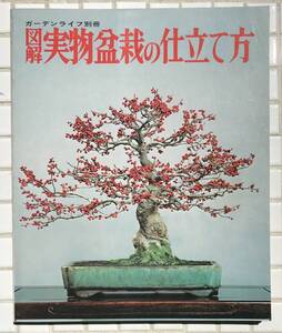 図解実物盆栽の仕立て方 ガーデンライフ別冊 誠文堂新光社 昭和51年 1976年 盆栽 実物 実物盆栽 園芸 解説書